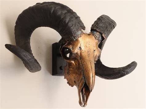 Ram Skull Wall Mount Real Ram Skull Wall Decor Metal Ram - Etsy