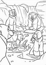 10 Brother Bear Coloring Pages For Kids Free PDF Printables sketch template