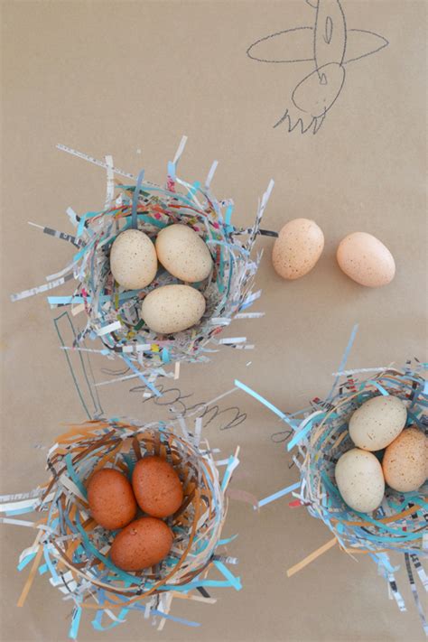 DIY Bird Nests (With images) | Bird nests art, Recycled paper art, Bird ...