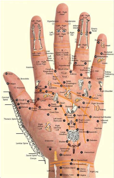 Reflexology of the Hand - The Magic of Life