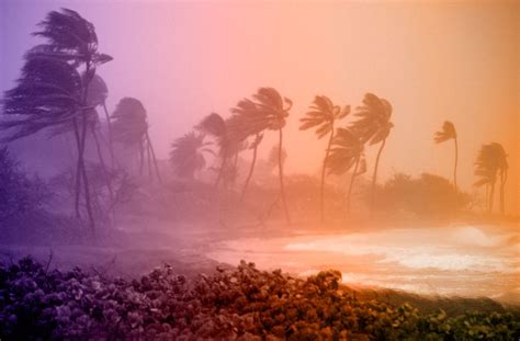 Understanding Hurricane Category 4 and Its Impact | HowStuffWorks