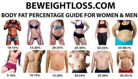 The Healthy Body Fat Percentage Chart For Men And Women - Exercise and Weight Loss Advice With BWL