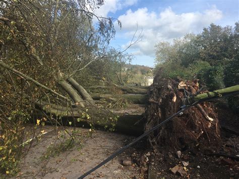 Storm Ophelia Damage, 16 October 2017 | Cllr. Kieran McCarthy