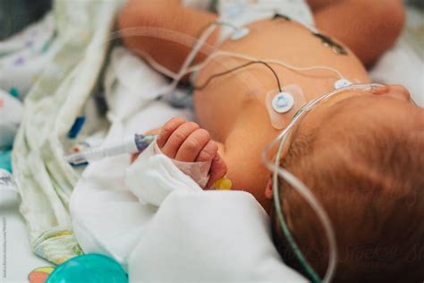 "Newborn Baby Boy In An Isolette In A Neonatal Intensive Care Unit." by Stocksy Contributor ...