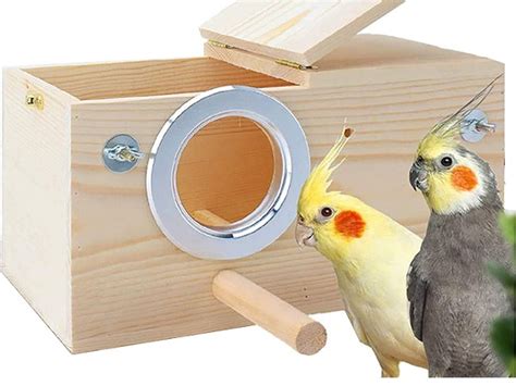 Best 4 Cockatiel Breeding (Nesting) Box For Any Cage Reviews