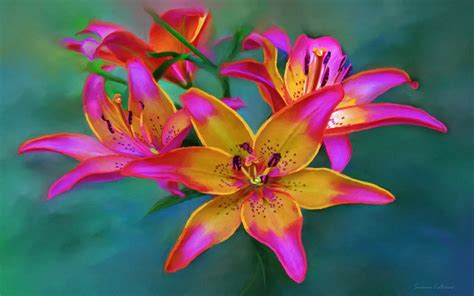 Download Colorful Colors Lily Flower Artistic Painting HD Wallpaper