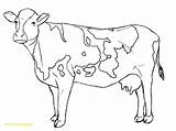 Cow Coloring Pages For Kids At GetDrawings  Free Download sketch template