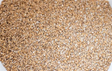 All Grain Brewing Process: A Beginner's Guide - Hazy and Hoppy