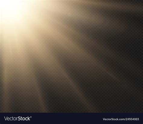 Light sun effect isolated on transparent Vector Image