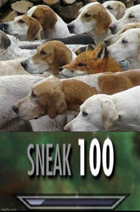 sneak 100 - Imgflip