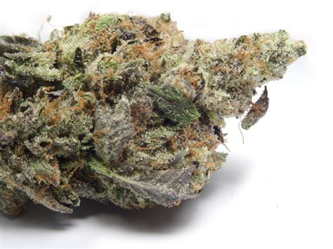 Pink Kush Strain - Growing Tips and Medical Effects | Marijuana Guides