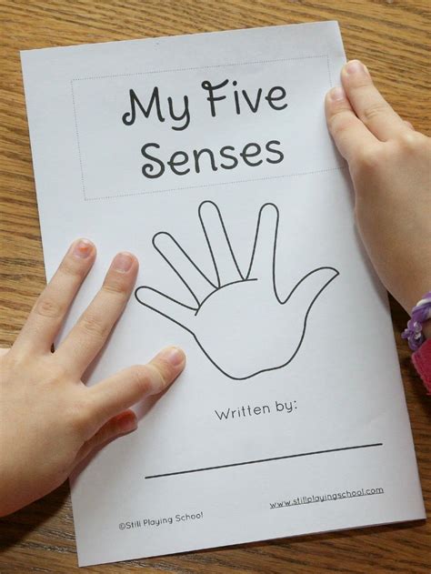 My Five Senses Book for Kids | My five senses, Senses preschool, Five senses preschool