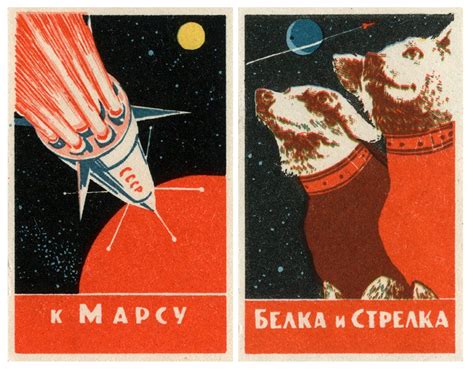 Space race, Space dog, Soviet space dogs