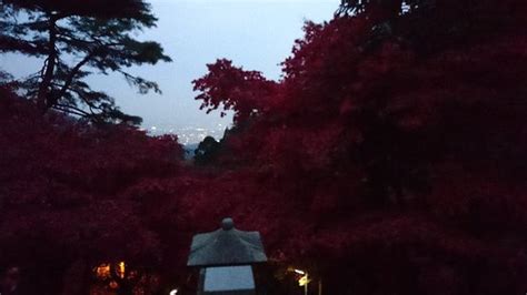 Oyama Afuri Shrine, Isehara - Tripadvisor