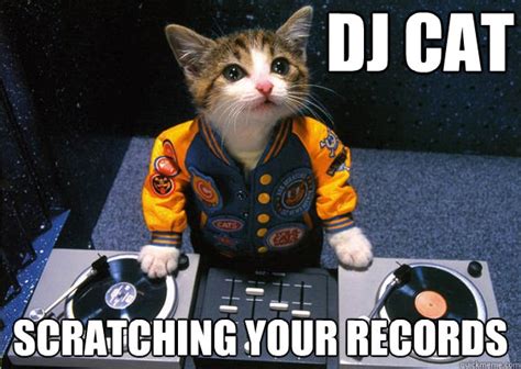 DJ CAT Scratching your records - Dj cat - quickmeme