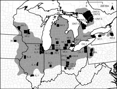 New research could help save an endangered Midwestern rattlesnake | St. Louis Public Radio