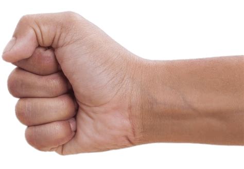 Clenched Fist To the Left transparent PNG - StickPNG