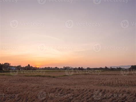 Sunset over rice field in Thailand 9621855 Stock Photo at Vecteezy