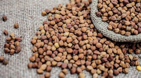 From iron to protein: Here are the benefits of kala chana that you must know | Health News - The ...