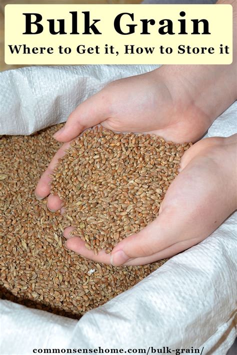 Bulk Grain - Where to Get it, How to Store it