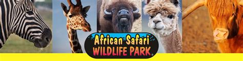 African Safari Wildlife Park in Port Clinton, OH | HomePros