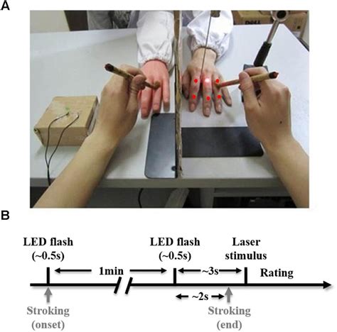 Frontiers | Attenuation of Pain Perception Induced by the Rubber Hand ...