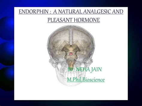 presentation on Endorphin hormone