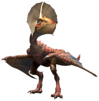 Bird Wyvern - Monster Hunter Wiki - Neoseeker