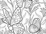 900  Misc Coloring pages Ideas coloring Books sketch template