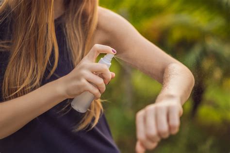 ¿Cómo será el repelente de mosquitos que fabricará la Municipalidad de ...