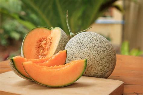 Honeydew vs Cantaloupe: What’s the Difference? - Wiki Point