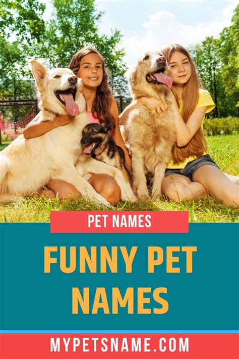 Funny Pet Names | Pet names, Funny animals, Pets