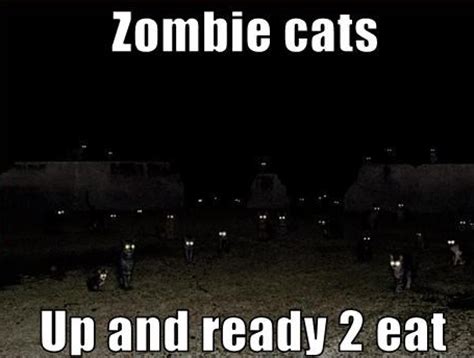 The Invasion Of the Zombie Cats Story | Super Meow Meow