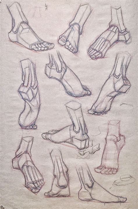 Pin on FIGURE FEET Structure & Anatomy