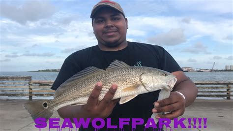 SeaWolf Park afternoon fishing (2019) - YouTube