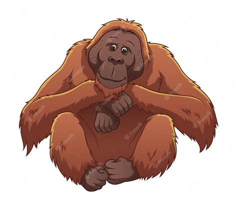 Premium Vector | Orangutan Cartoon Animal Illustration