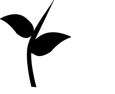 SVG > branche croissance la nature bourgeons - Image et icône SVG gratuite. | SVG Silh