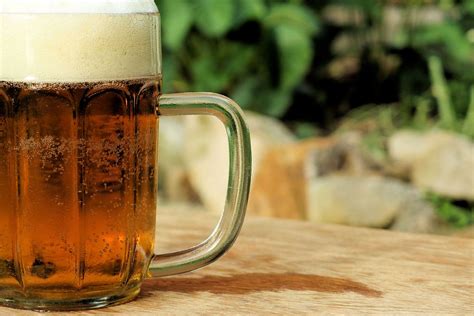 Beer Pint Brew · Free photo on Pixabay