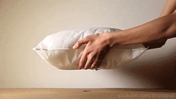 Pillow Magnet GIF - Find & Share on GIPHY