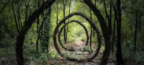 Artist Spends A Year In The Woods Making Magical Sculptures Out Of ...