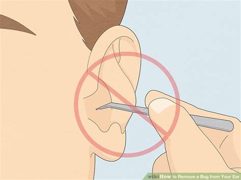 How to Remove a Bug from Your Ear: 14 Steps (with Pictures)