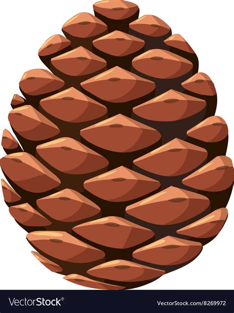 Pine Cone Vector