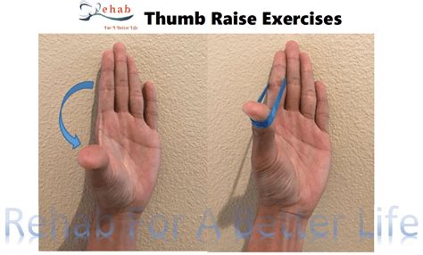 The Best Exercises for Your Painful Thumb Arthritis ! - REHAB FOR A ...