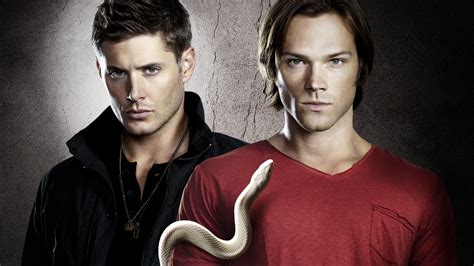 HD wallpaper supernatural dean sam winchester brothers tv series snake jensen ackles jared ...