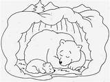 AS NOSSAS PARTILHAS A Hibernação Dos Animais  Fichas De Trabalho sketch template