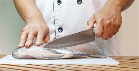 How To: Clean and Fillet a Fish - Local Life