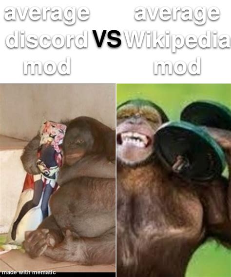 I love monkey memes : r/memes