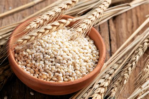 How to Grow Barley for Beer – Mother Earth News