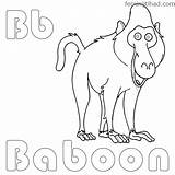 Baboon Coloring Pages At GetColoringscom  Free Printable Colorings sketch template