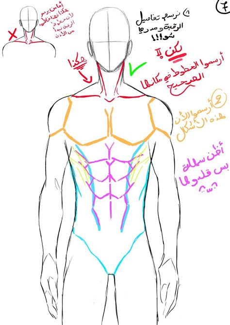 how to draw male body [9] | Male body drawing, Guy drawing, Body drawing tutorial